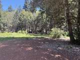 Sandy Bar Road - Photo 12