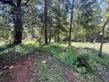  Sandy Bar Road - Photo 9