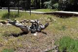 1531 Highland Drive - Photo 28