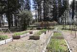 7838 School House Rd - Photo 16