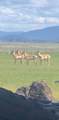 7838 School House Rd - Photo 48