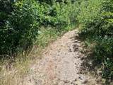 38727 Hwy 96 - Photo 46