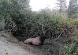 3540 Hilt Hungry Road - Photo 28
