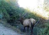 3540 Hilt Hungry Road - Photo 5