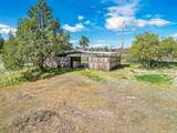12838 Barracuda Drive - Photo 25