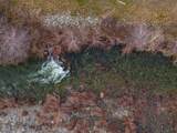 Blue Wolf Ranch - Photo 37