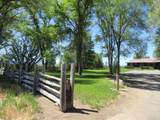 2917 Shady Dell Rd - Photo 3
