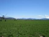 2917 Shady Dell Rd - Photo 33