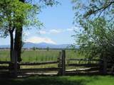 2917 Shady Dell Rd - Photo 9