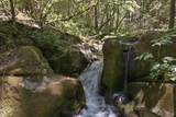 20929 Fall Creek Rd - Photo 10