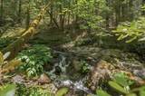 20929 Fall Creek Rd - Photo 8