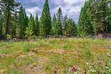 532 Shasta Pines Drive - Photo 12