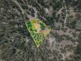 532 Shasta Pines Drive - Photo 30