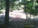 1322 Seiad Creek Rd. - Photo 47