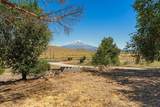 16101 Old Highway 99 S - Photo 9