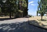 7725 School House Rd - Photo 19
