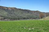 13317 Mcadams Creek Road - Photo 18