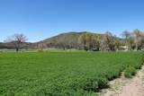 13317 Mcadams Creek Road - Photo 20