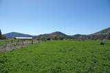 13317 Mcadams Creek Road - Photo 21