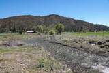 13317 Mcadams Creek Road - Photo 28