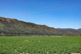 13317 Mcadams Creek Road - Photo 31