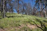 13317 Mcadams Creek Road - Photo 34