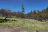 13317 Mcadams Creek Road - Photo 36
