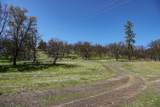 13317 Mcadams Creek Road - Photo 37