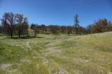 13317 Mcadams Creek Road - Photo 38