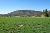 13317 Mcadams Creek Road - Photo 41