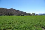 13317 Mcadams Creek Road - Photo 21