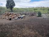 10849 County Road 120 - Photo 20