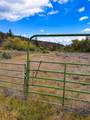 18031 Gazelle Callahan Rd - Photo 32