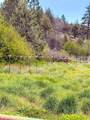 18031 Gazelle Callahan Rd - Photo 34
