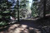 438 Dogwood Rd - Photo 35