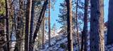 438 Dogwood Rd - Photo 47