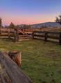 10209 Hwy A-12 - Photo 31