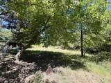 214 Buckhorn Road - Photo 21