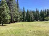 NSA Emigrant Creek Road - Photo 44