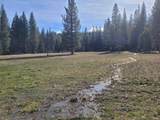 NSA Emigrant Creek Road - Photo 46
