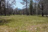 2003 Kidder Creek - Photo 27