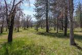 2003 Kidder Creek - Photo 29