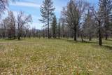2003 Kidder Creek - Photo 30