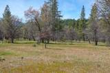2003 Kidder Creek - Photo 32