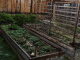 400 North St - Photo 21