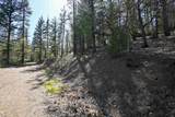 15640 Quartz Valley Dr. - Photo 48