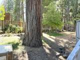 2601 Old Stage Rd #1 - Photo 39