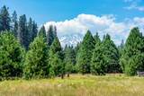 2904 Spring Creek Road - Photo 5