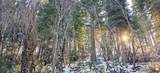 438 Dogwood Rd - Photo 39