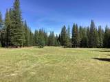 NSA Emigrant Creek Road - Photo 46